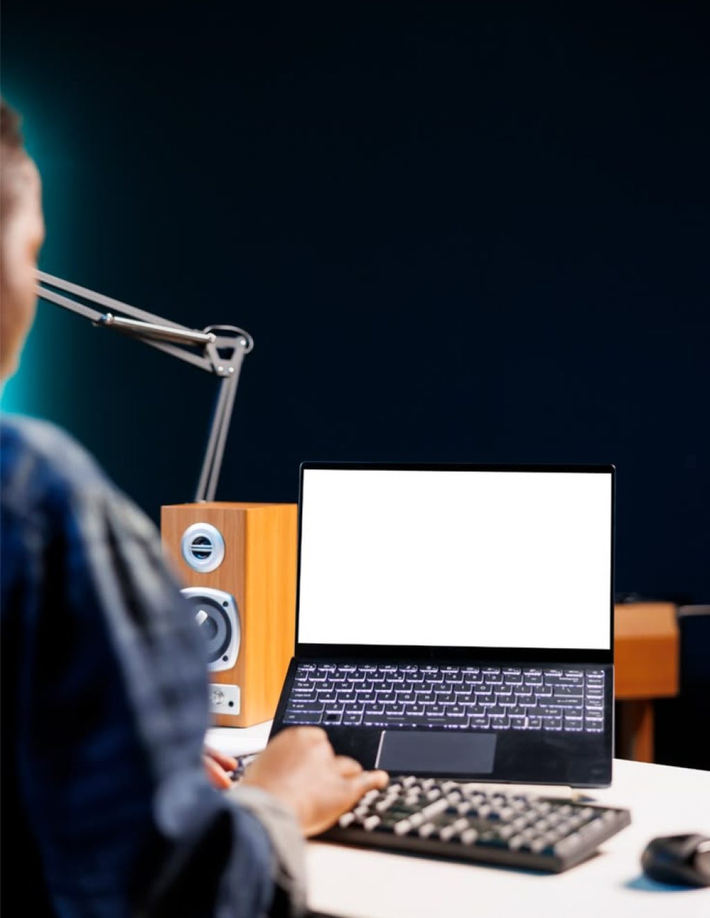 professional narration